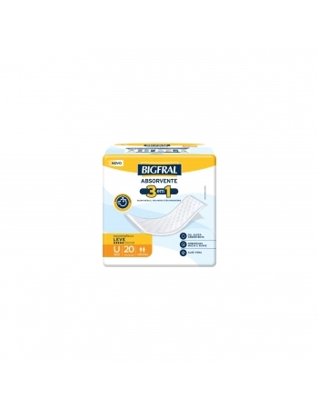 BIGFRAL PLUS REG ABSORVENTE 8X20UN