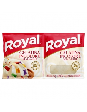 GELATINA S/ SABOR INC.48UNX24G