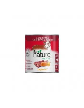 BE NATURE DAY BY DAY CAES ADULTOS CARNE 12X300G
