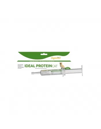 IDEAL PROTEIN CAT 24X40G