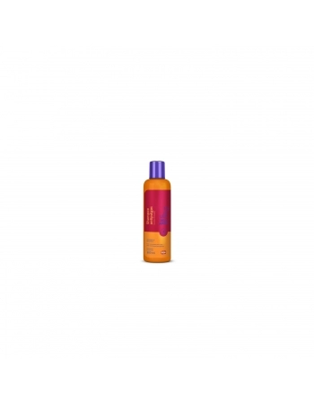 SH ANTIPULGAS 12X200ML