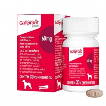 GALLIPRANT 60MG 30TAB