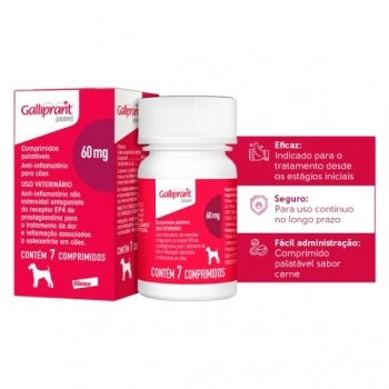 GALLIPRANT 60MG 7TAB